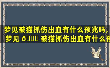 梦见被猫抓伤出血有什么预兆吗,梦见 🍀 被猫抓伤出血有什么预兆吗周公解梦